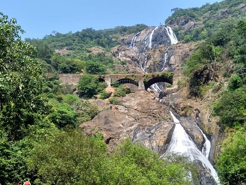 Dudhsagar falls