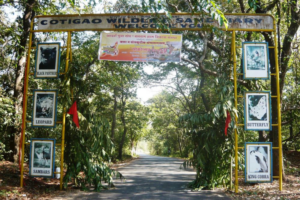 Cotigao Wildlife Sanctuary South Goa